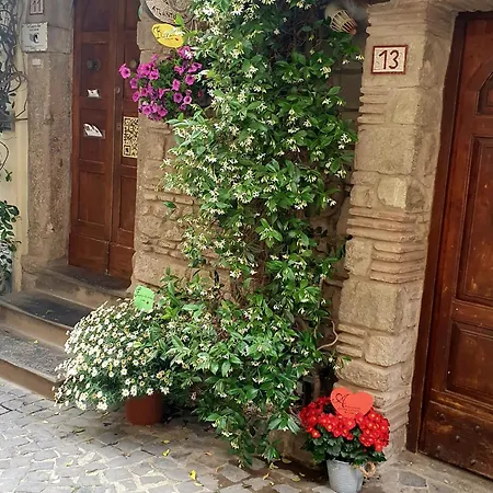 Atlantis Castelgandolfo Guest house Castel Gandolfo
