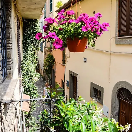 Guest house Atlantis Castelgandolfo Castel Gandolfo